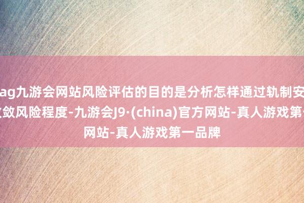 ag九游会网站风险评估的目的是分析怎样通过轨制安排来收敛风险程度-九游会J9·(china)官方网站-真人游戏第一品牌