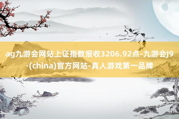 ag九游会网站上证指数报收3206.92点-九游会J9·(china)官方网站-真人游戏第一品牌