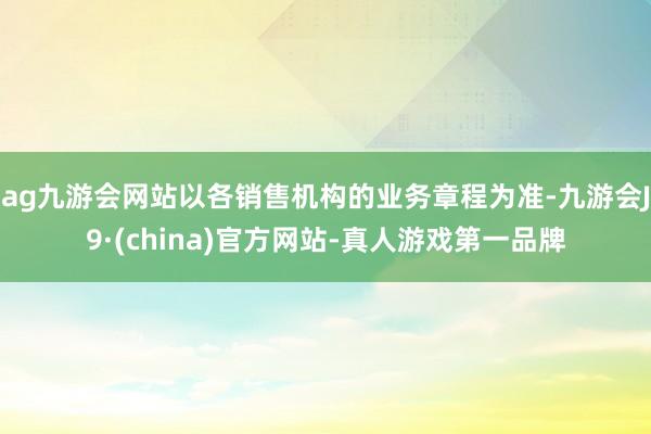 ag九游会网站以各销售机构的业务章程为准-九游会J9·(china)官方网站-真人游戏第一品牌