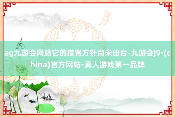 ag九游会网站它的措置方针尚未出台-九游会J9·(china)官方网站-真人游戏第一品牌
