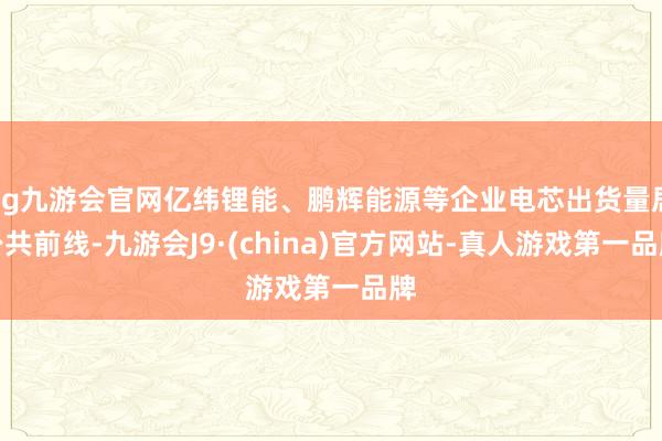 ag九游会官网亿纬锂能、鹏辉能源等企业电芯出货量居公共前线-九游会J9·(china)官方网站-真人游戏第一品牌