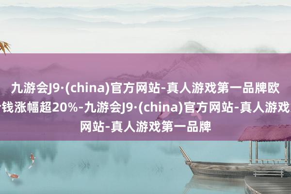 九游会J9·(china)官方网站-真人游戏第一品牌欧洲组件价钱涨幅超20%-九游会J9·(china)官方网站-真人游戏第一品牌