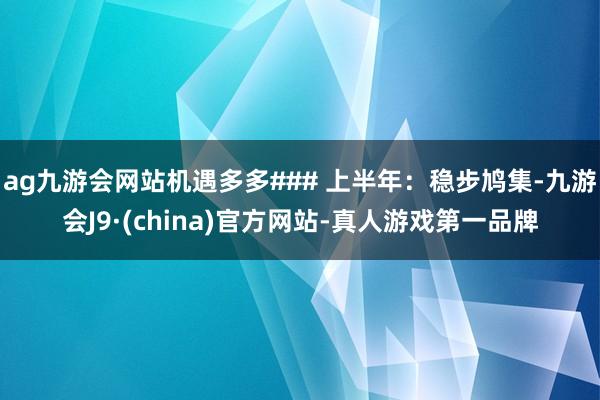 ag九游会网站机遇多多### 上半年：稳步鸠集-九游会J9·(china)官方网站-真人游戏第一品牌