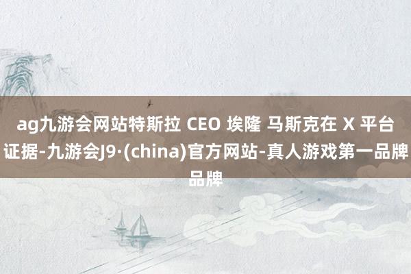 ag九游会网站特斯拉 CEO 埃隆 马斯克在 X 平台证据-九游会J9·(china)官方网站-真人游戏第一品牌