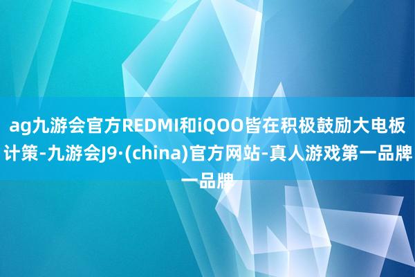 ag九游会官方REDMI和iQOO皆在积极鼓励大电板计策-九游会J9·(china)官方网站-真人游戏第一品牌