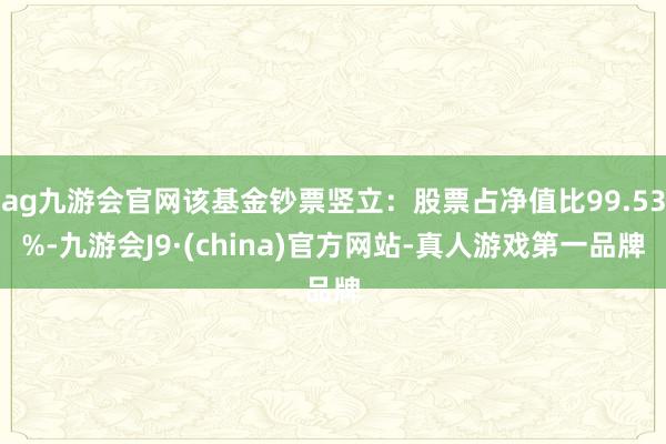 ag九游会官网该基金钞票竖立：股票占净值比99.53%-九游会J9·(china)官方网站-真人游戏第一品牌