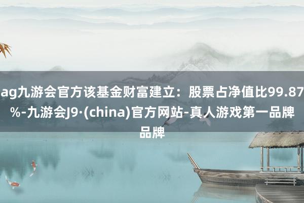 ag九游会官方该基金财富建立：股票占净值比99.87%-九游会J9·(china)官方网站-真人游戏第一品牌