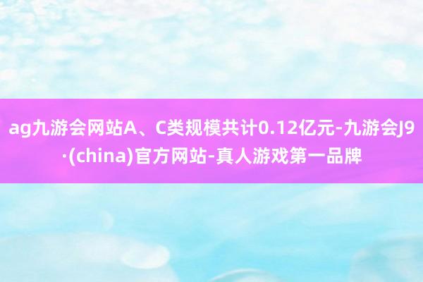 ag九游会网站A、C类规模共计0.12亿元-九游会J9·(china)官方网站-真人游戏第一品牌